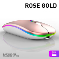 Mouse nirkabel BT RGB, tetikus komputer lampu latar 2.4g tanpa kabel dapat diisi ulang
