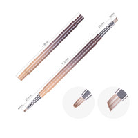 Brosse professionnelle d'art d'ongle de gel UV à double tête avec la brosse française en nylon en métal de poignée de poudre de perle pour des Use-BW69 de salon de beauté