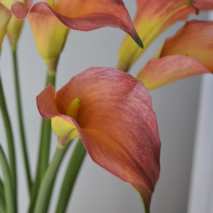 Grandes fleurs artificielles Calla Lily en EVA : Bouquet en silicone doux au toucher pour la décoration intérieure - Product Image 4