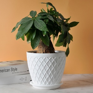 10 PCS European Style Modern <strong>Table</strong> Indoor Outdoor Color Mixed <strong>Plastic</strong> Flower <strong>Pots</strong> Set - Product Image 6