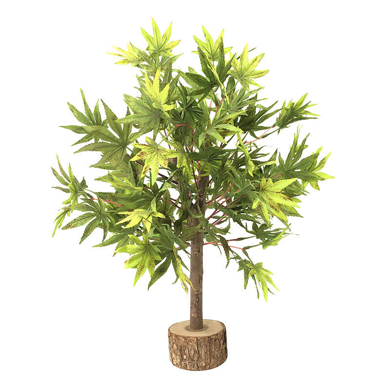 กองทัพสีเขียว