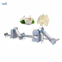 Machine à éplucher l'ail et les oignons entièrement automatique en silicone, machine de nettoyage pour oignons et ail