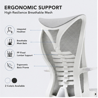 Chaise de bureau en maille plastique avec support lombaire, chaise de bureau ergonomique pour table de travail
