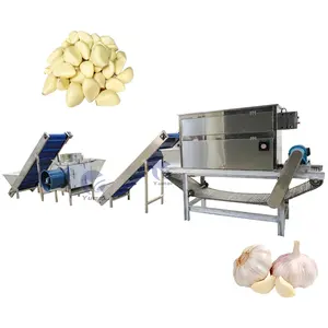 Manufacturer 300Kg Fresh Garlic Sorter Clover Peeling Machine Garlic Processing Plant