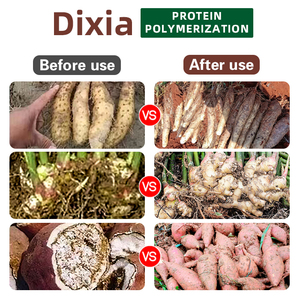 <span class=keywords><strong>Engrais</strong></span> Liquide Organique Spécialisé pour Légumes Racines (Igname, Patate Douce, Gingembre, <span class=keywords><strong>Ail</strong></span>, Radis) à Base d'Acides Aminés, Pureté 100% - Product Image 4