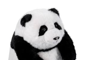 <span class=keywords><strong>Panda</strong></span> <span class=keywords><strong>chinois</strong></span> AI Companion, interactif vocal, 60 langues, jouet fabriqué à Shenzhen pour enfants - Product Image 4