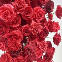 Arche de fleurs en forme de cœur avec lumière néon, rose rouge personnalisée, très vendue, pour décoration de mariage ou demande en mariage