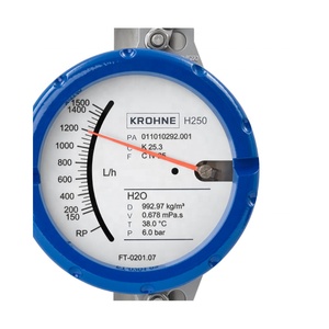 Medidor de Flujo de Área Variable Original Krohne H250 M40 para Gases H250/RR/M40/ESK-EX H250 M40 KROHNE H250 M40 Medidor de Flujo H250 M40 H - Product Image 3