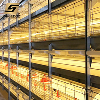 Équipement d'élevage avicole : Cage pour poules pondeuses et poulets de chair pour fermes avicoles