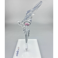 Modèle d'implant de hanche transparent KyrenMed, modèle de remplacement, mini taille, modèle d'affichage générique transparent
