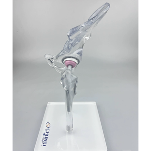 Kyrend पारदर्शी हिप संयुक्त इम्प्लांट मॉडल प्रतिस्थापन मॉडल मिनी आकार स्पष्ट जेनेरिक डिस्प्ले मॉडल - Product Image 3