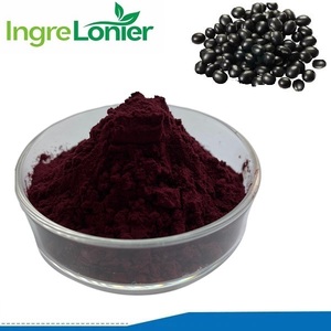 Extracto de cáscara de frijol negro en polvo de antocianina pura de pigmento Natural más vendido 25% Extracto de frijol negro de antocianina a granel - Product Image 2