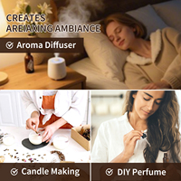 Pack d'huiles aromatiques de la collection hôtelière, 6 flacons, huile parfumée signature d'hôtel renommé, parfum durable pour diffuseur à bâtonnets et nébuliseur