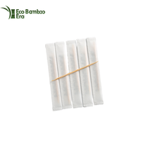 Cure-dents en bambou biodégradables écologiques personnalisés en gros, durables, emballage en vrac, bouteille en plastique, papier