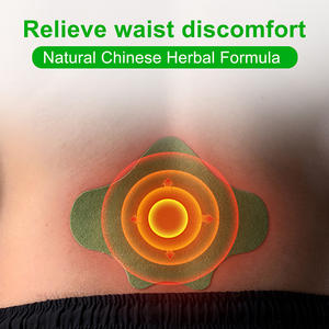 빠르고 편안한 경추 통증 완화 구강 비강 및 바디 패치를위한 HZL 천연 한방 포뮬러 패치 - Product Image 4