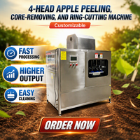 Automatische hoogproductieve machine voor het schillen, ontpitten en snijden van appels en groenten voor de fruitverwerking