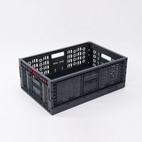 Caisses en plastique perforées multifonctionnelles, petites, portables, pliables, recyclables, en PP, pour le stockage des produits agricoles