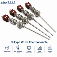 Termopar Industrial de Alta Presión Tipo C WRe 0-2300 ° Sensor de Temperatura C 20MPa para Calderas, Reactores y Hornos