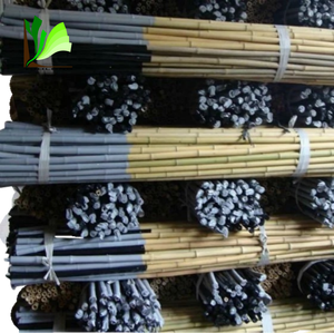 Bâtons de bambou Tonkin ronds, écologiques, de haute qualité, recouverts de plastique, pour le soutien des <span class=keywords><strong>olives</strong></span> - Product Image 3
