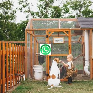 Material de construcción de malla de alambre soldado con refuerzo de alambre plano galvanizado en caliente de acero de bajo carbono - Product Image 6