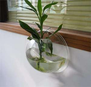 ถังเก็บน้ำอะคริลิกทรงกลมทรงกลมแขวนผนังทรงสี่เหลี่ยมสำหรับตู้ปลาขนาดเล็ก - Product Image 5