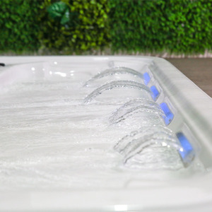 <span class=keywords><strong>2022</strong></span> Fábrica Boquilla grande Jets Spa Piscina al aire libre Bañera de hidromasaje Combo con bañera Gecko - Product Image 3
