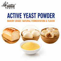 Levain sec actif à faible humidité avec une forte teneur en cellules vivantes, levainement fiable pour les produits de boulangerie fermentés
