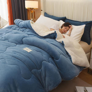 <span class=keywords><strong>Precio</strong></span> al por mayor Color sólido Otoño Invierno edredón de doble cara edredón grueso cálido edredón núcleo leche polar <span class=keywords><strong>Cordero</strong></span> edredón de lana - Product Image 4