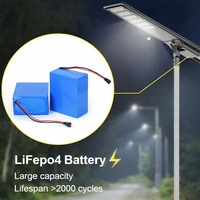 Lampe solaire à induction tout-en-un 100W, batterie intégrée, éclairage de rue, IP65, alimentation CC, utilisation routière, garantie 10 ans, télécommande, étanche en extérieur