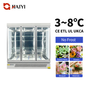 Commercial Air Cooling Refrigerator Flower Display Fridge 3-8C No Frost Stainless Steel Flower Chiller for Flower Shops - Product Image 1