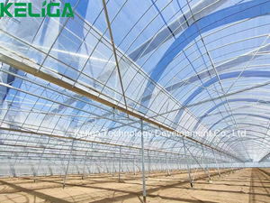 Multi-span nông nghiệp răng cưa nhà kính nhà máy Vườn Ươm với hoàn toàn tự động - Product Image 3