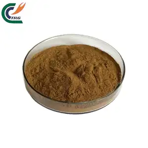 Top China Amla Powder High Quality Amla Powder Extract