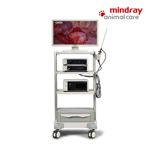 Apparecchiature di <span class=keywords><strong>Imaging</strong></span> endoscopico medico per endoscopia torre per laparoscopia CS3 Hd Mindray - Product Image 4