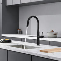 Robinet de cuisine moderne noir mat avec douchette extractible, mitigeur chaud/froid à poignée unique, anti-éclaboussures pour évier de cuisine et maison