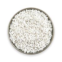 Granulés de perlite grossiers de 3-6 mm : Évite la pourriture des racines, idéal pour la culture des succulentes et des cactus, et la propagation en pépinière commerciale.