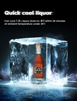 Distributeur de boissons glacées Ardent Spirits, 2 bouteilles, machine à glaçons, refroidisseur de liqueur, réfrigérateur à glace pour bouteilles de vodka