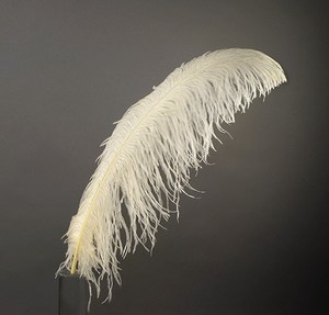 Bán Buôn DIY Craft 50Cm Lớn Lớn Dài Chùm Đám Cưới Trung Tâm Trang Trí Nội Thất Màu Đen Trắng Đà Điểu Lông Cho Lễ Hội Đảng Cung Cấp - Product Image 3