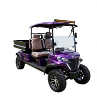 Vente en gros de voiturettes de golf électriques à 2 places, voiturettes de golf tout-terrain avec boîte de rangement arrière