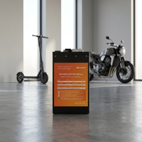 Budget Friendly 60V 30Ah Sealed LiFePO4 Battery Rapid Charging Design for Daily High Speed Electric Motorcycle Commute