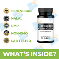 Complément alimentaire en gélules de chlorophylle naturelle avec cannelle de Ceylan pour la peau et la digestion, formule personnalisée, OEM ODM, marque privée