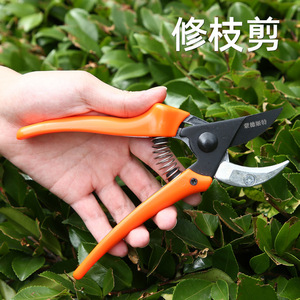 Pruning Shears Bypass Type 20-30 Mm Stainless Steel Orange Handle Lightweight Gardening Tool - Product Image 4