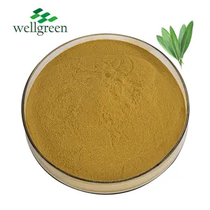 Free Sample Extract Factory Mass Production Inventory Olive Fruit Leaf Extract