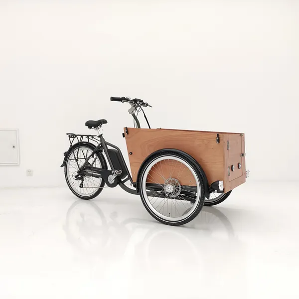 A tre ruote di bicicletta cargo triciclo anteriore carico carico elettrico cargo bike per la vendita