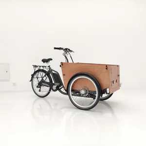 Electric Cargo Bike 3 Wheel Bicycle Cargo Tricycle Front Loading Cargo Electric Cargo Bike For Sale