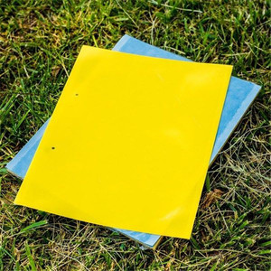 25*30 cm Hot Sell Insect Sticky Trap Pest Control Moth Glue Traps for Greenhouses/Orchard/Vegetable Garden - Product Image 2