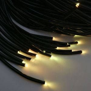 Luz LED para Piscina en Forma de Estrella de PMMA para Exteriores con Accesorios de Extremo 304 y Soportes Múltiples de Fibra Óptica - Product Image 4