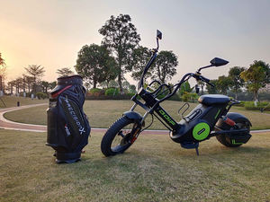 Neues Modell High <span class=keywords><strong>Speed</strong></span> 2000w 2 Rad Citycoco Fat Tire Elektro Golf Fahrrad wagen Roller Erwachsener - Product Image 3