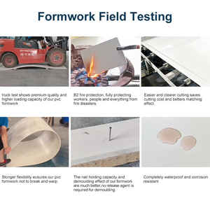 Panel de Encofrado de Plástico de Alta Resistencia para Construcción Moderna, Tablero de Hormigón con Certificación ISO 9001, 1220x2440mm 915x1850mm - Product Image 4
