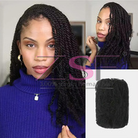 Cheveux Brésiliens Vierge Afro Kinky en Vrac Grand Paquet Cheveux Humains Afro Kinky pour Dreadlocks Tresses Extensions