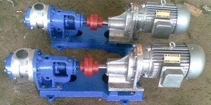 NYP High Viscous Fluid <b>Grease</b> Internal Gear Oil Transfer Pump NYP High Viscosity Pump NYP - Product Image 6
